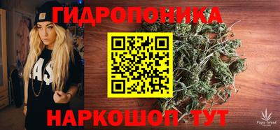 прущие грибы Ярцево