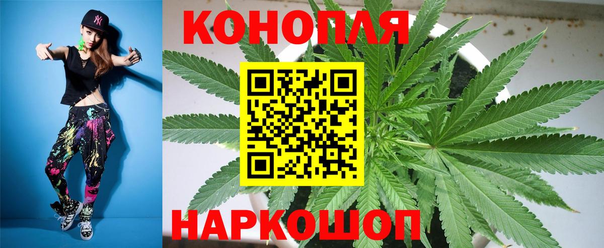 Конопля индика Гусиноозёрск